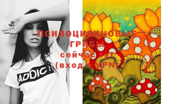 apvp Алексин