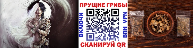 Псилоцибиновые грибы ЛСД МЕГА ONION Новомосковск