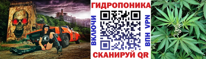 Канабис сатива  закладки  Новомосковск 